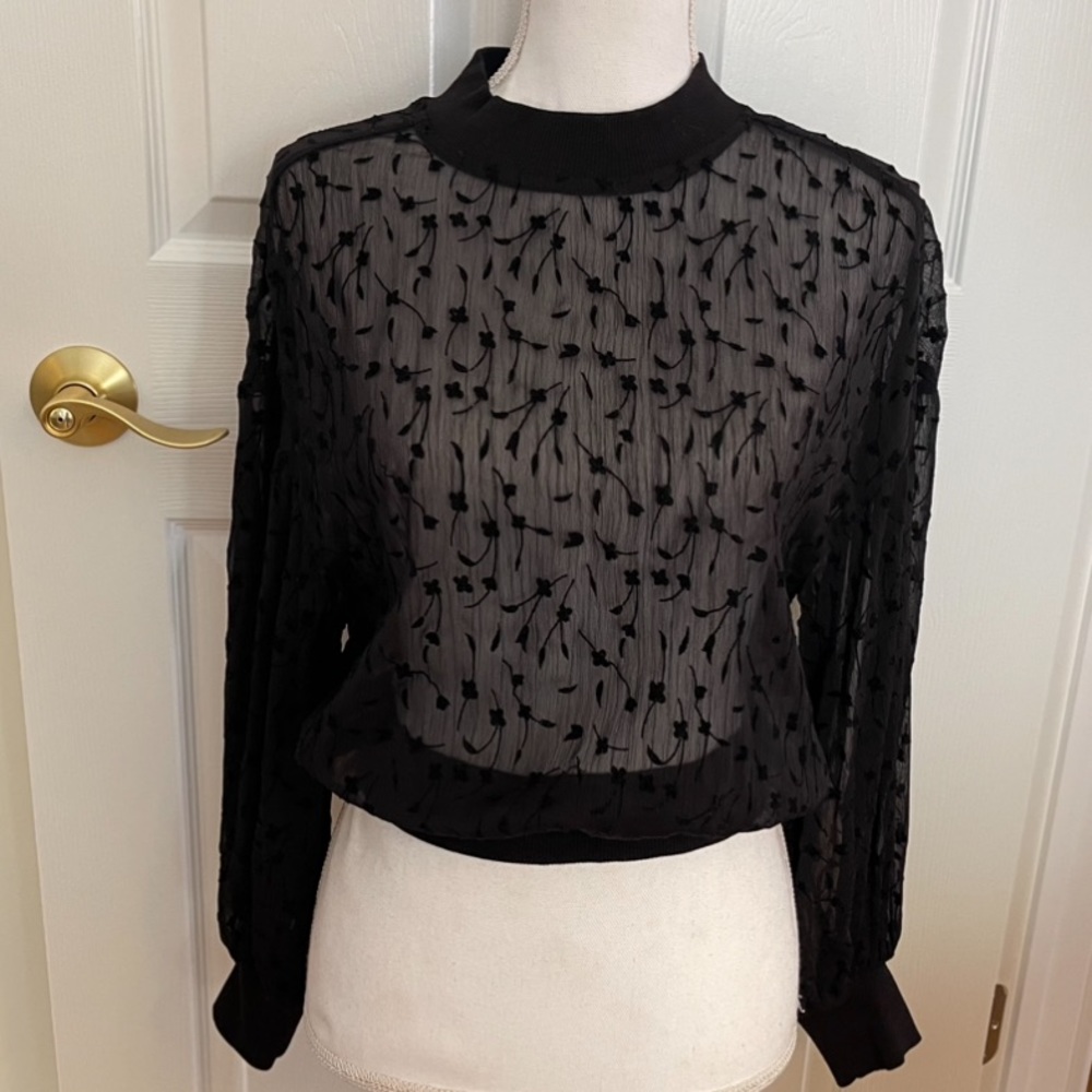 Zara Black Sheer Top with Delicate Floral Detail